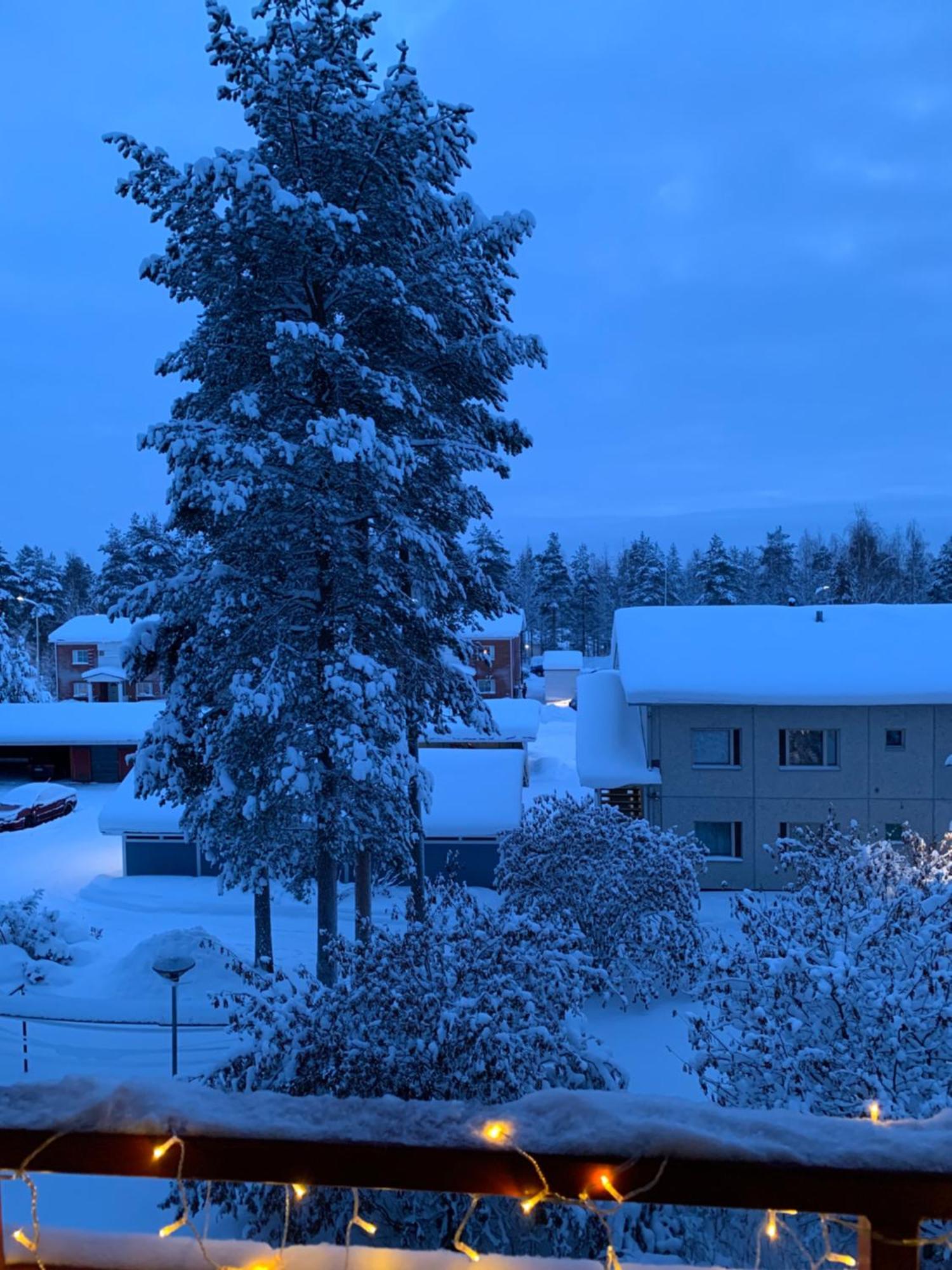 Susihukka & Punahilkka Apartments With Sauna Rovaniemi Bagian luar foto